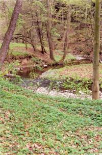 Meandrující řeka Šumice