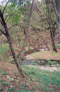 Meandrující řeka Šumice