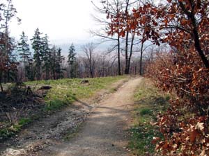 cesta z Velkho Kose