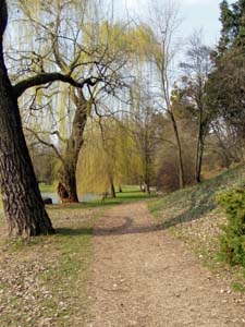 Zmeck park v echch pod Kosem
