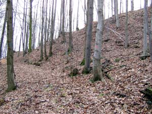 hrad Tepenec - stl o pr metr dle