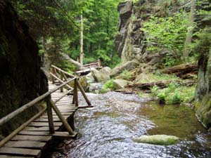 Reovsk vodopdy
