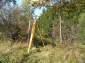image003_m.jpg, 15 kB