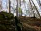image011_m.jpg, 11 kB