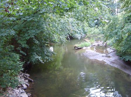 Meandrujc rameno  eky Moravy - Mal voda