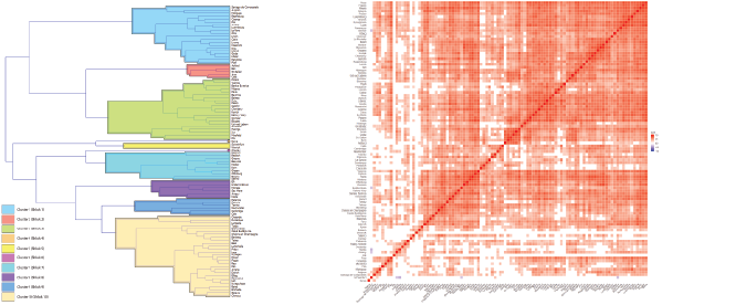 dendrogram