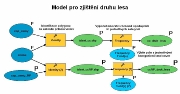 Obr. 8.: Model pro zjitn druhu lesa