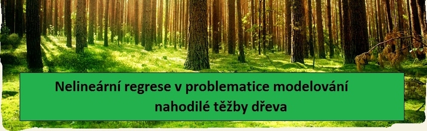 Modelování nahodilé těžby dřeva