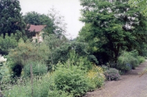 Botanick zahrada (13. kvten 2002)