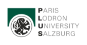 Plus logo