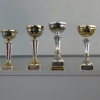 SVOČ 2009 - poháry pro oceněné